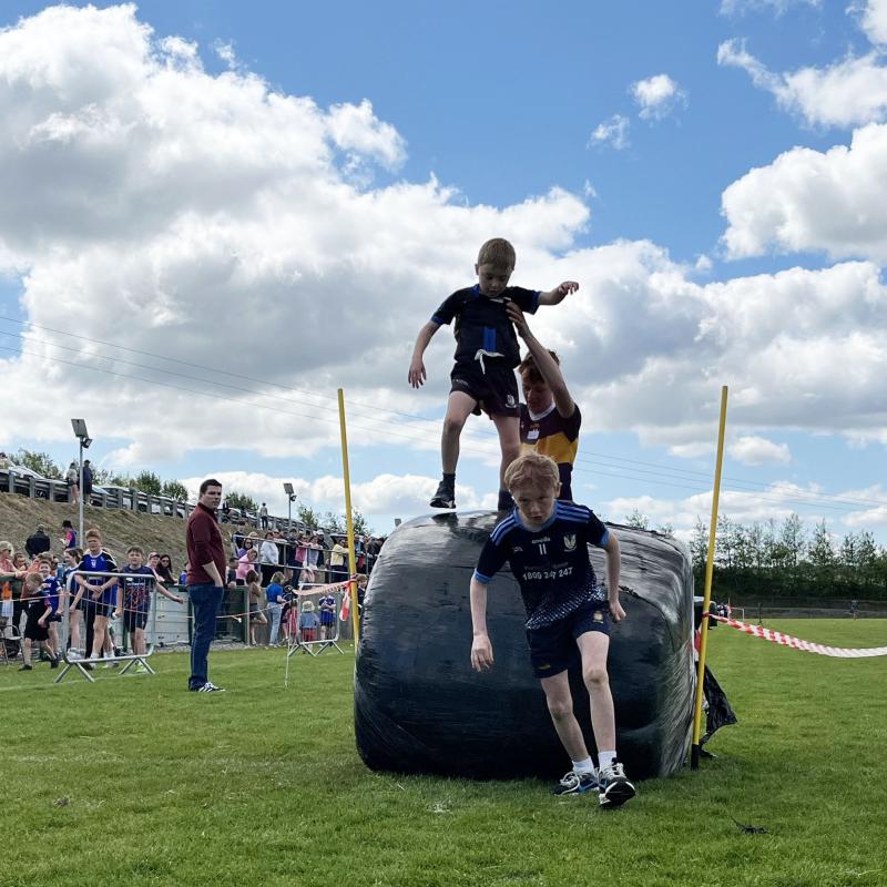 Img 1 Credit Karol Connellan